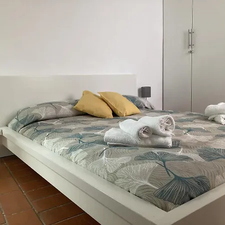 Bed & Breakfast Ginkgo Apt. Centro Storico