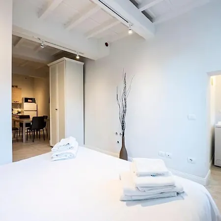 Appartamento San Frediano Moderna Firenze