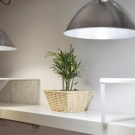 Apartamento San Pierino