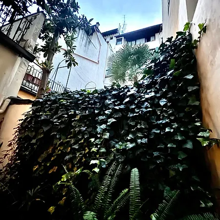 Apartman Il Segreto Di Via Laura - House In