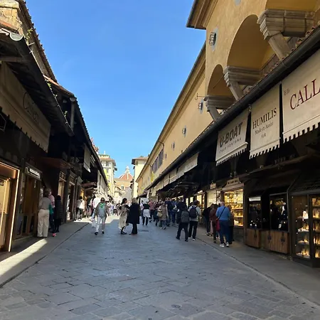 Apartment Borgo San Jacopo 8 *