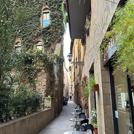 Apartment Borgo San Jacopo 8