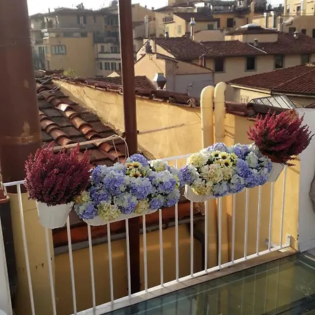 Guest house The Dream Terrace - Elena Grey *