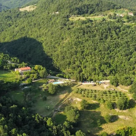 Il Colle - Pino *