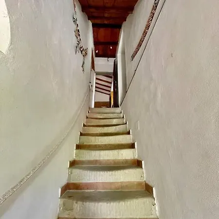 Il Colle - Pino Apartment Florence