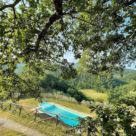 Apartment Il Colle - Pino Florence