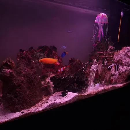 فندق Genzianella 2*