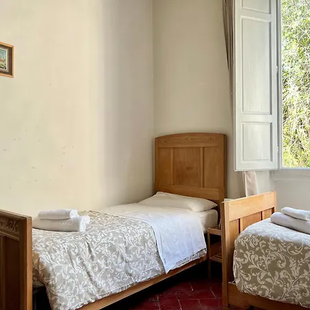 Santo Spirito 7