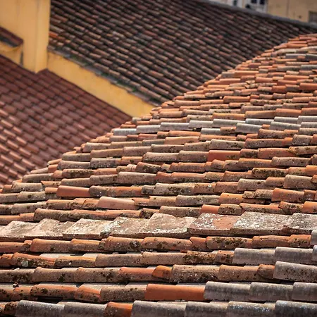 Novella House Firenze