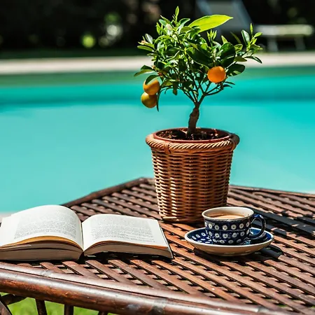 Rovezzano Bed & Breakfast 3*