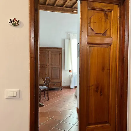 Medusa Guest house *