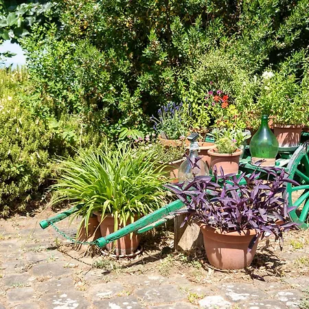Charming Florentine Hideout * Florence