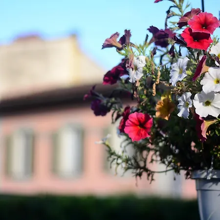 Hotel Gelsomino Garden 2*