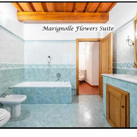 Holiday home Marignolle Flowers Florence