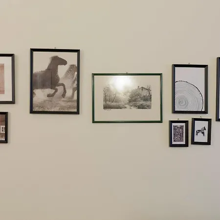 Borgo Pinti Living Apartment