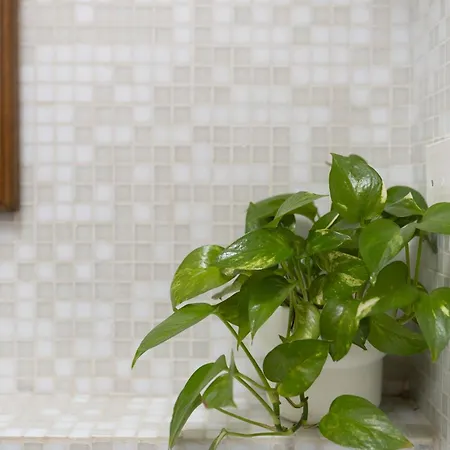 Apartment Ardiglione Flat *