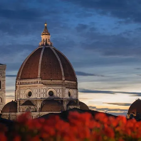Cardinal Of - Recommended For Ages 25 To 55 Firenze