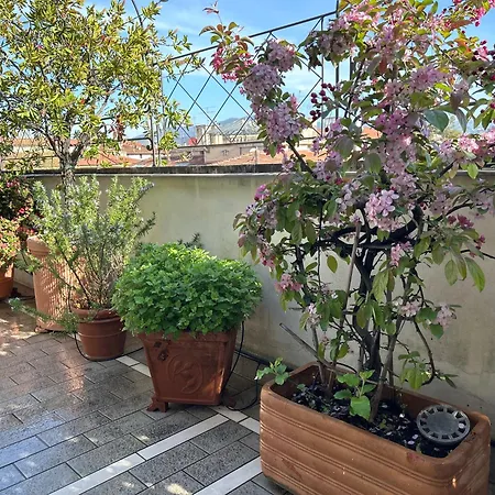Cherubini Apartment Florenz