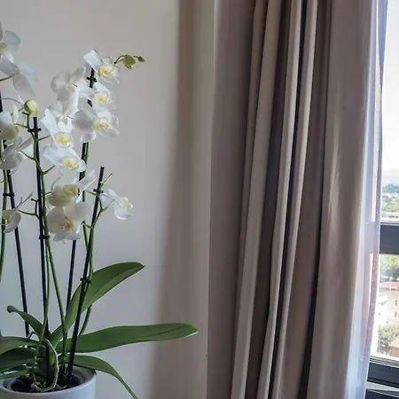Hotel Hilton Metropole 4*
