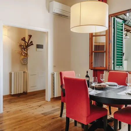 Apartment Medicee Exclusive Penthouse Florence