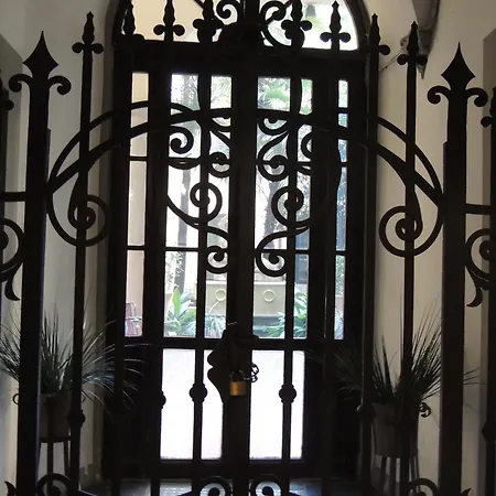 Orchidea Firenze