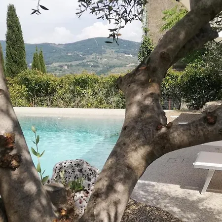 Le Statue *