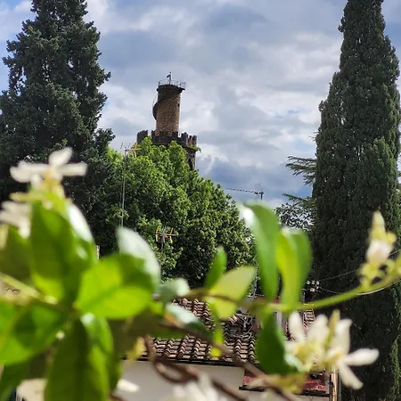 Apartment Vista Su Giardini Storici In Oltrarno Florence