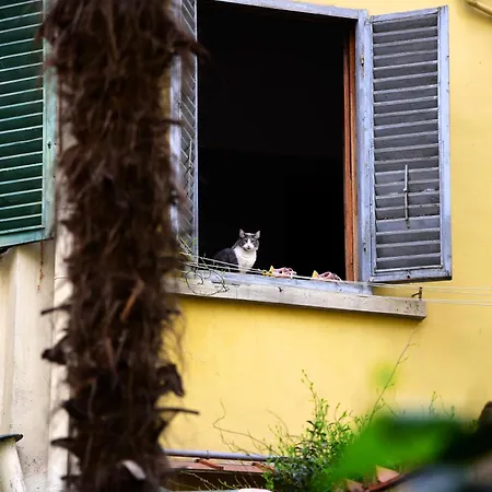 Il Segreto Di Via Laura - House In *