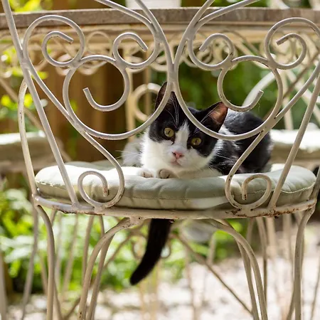 Secret Garden פירנצה
