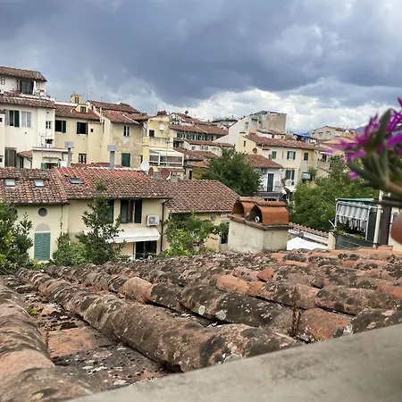 3 Terrace In * Florence