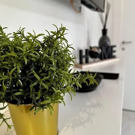 Apartment Nencionihouse- Modern Comfort Close To Center Florence