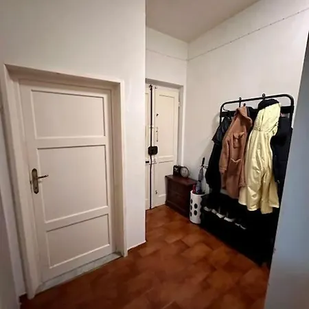 Comfortable In A Pet-friendly Apartment