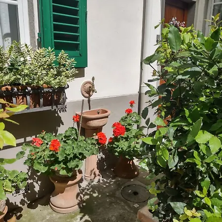 Benvenuti Nel Paradiso In Citta *
