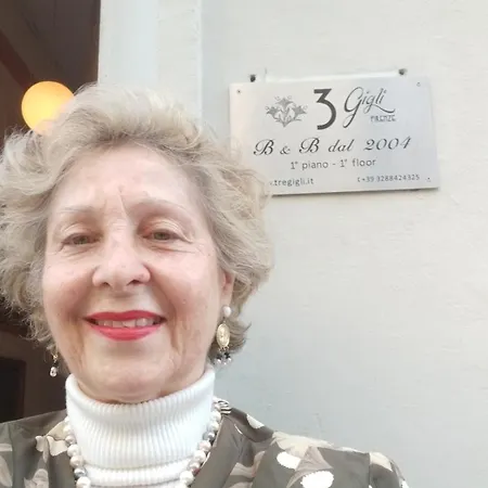 Bed & Breakfast Tre Gigli A Firenze, 5 Minutes From Station, Via Palazzuolo 55 Florence