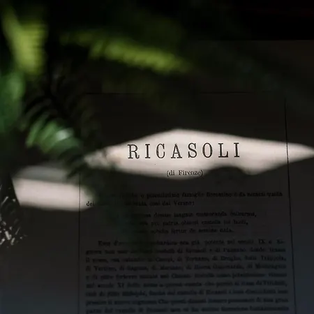 Accademia Luxury Art *