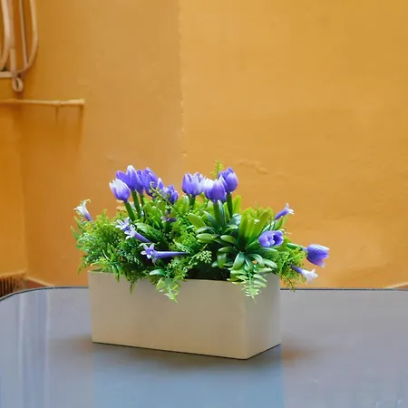 Apartment La Casa Fiorentina