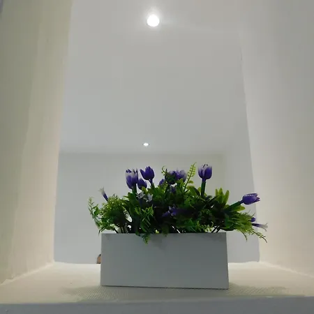 La Casa Fiorentina Apartment