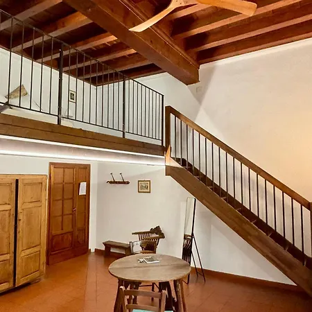 Medusa Guest house *