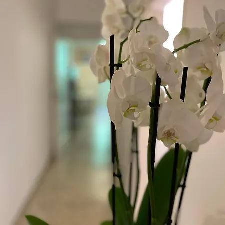 Ruote Family Apartment Florence