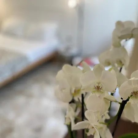 Apartamento Ruote Family Florencia
