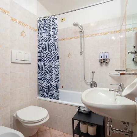 Lilium Firenze