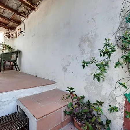 Apartamento Pepi With Terrace