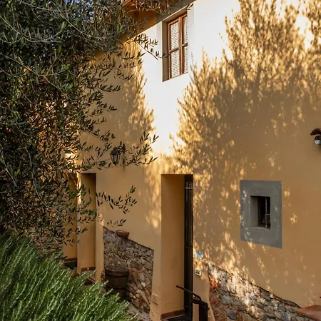 Le Rose Casa Della Ciri Florencie