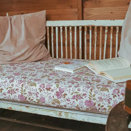La Serra Sognante, Un Rifugio Incantevole Tra Natura E Relax Holiday home