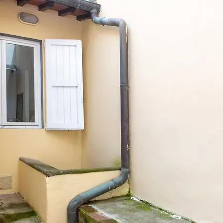 Romana 4 Bedrooms With Garden Apartment Florence
