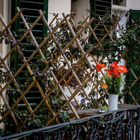 Betta 2* Florence