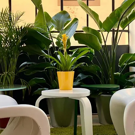 Apartment Lusso A Con Palestra