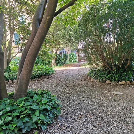 Pintino Garden * Florence