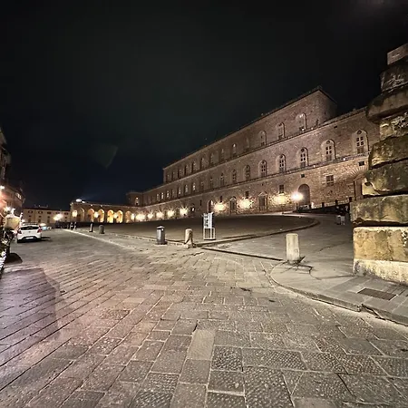 Апартаменты Luxurious View On Pitti Palace