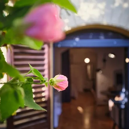 Enchanting With Patio, Lungarno
